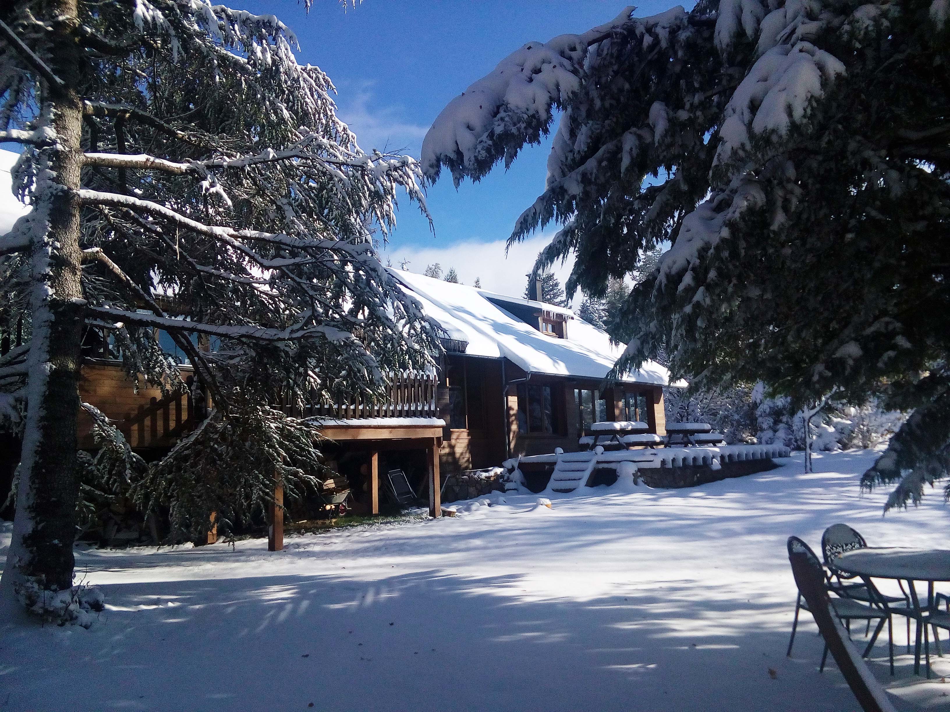 respect du site forêt bois